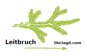 Leitbruch300x193Komp