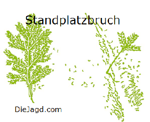 Standplatzbruch