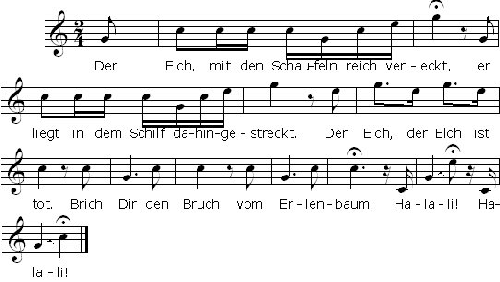 Elch tot Noten