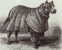 Hundepanzer