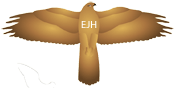 Flugbild Habicht