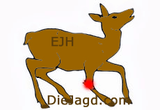 Vorderlaufschuss - Einknicken des getroffenen Laufes.